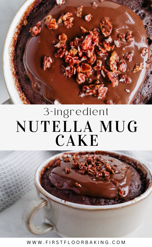 3-Ingredient Nutella Mug Cake