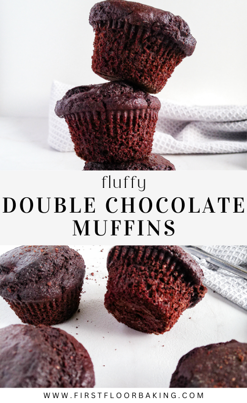 [PINS] DOUBLE CHOCOLATE CHIP MUFFINS